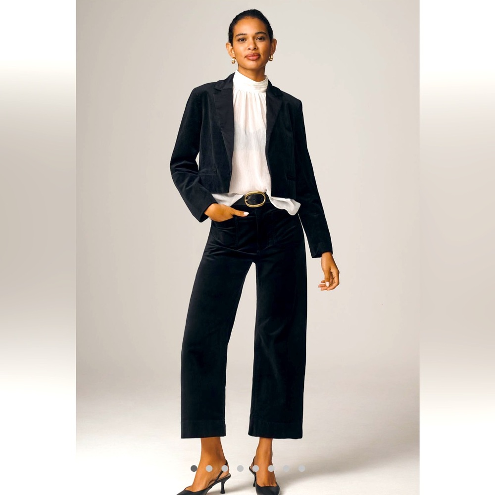 Anthropologie The Collette Cropped Wide Leg Pant by Maeve - Velvet Edition, 31p